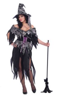 Cinder The Witch Adult Womens Costume Plus Size New