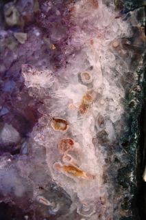   be patient if it is slow thanks beauty cathedral amethyst geode with
