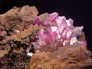 SUPERB Adamite Crystal Cluster OJUELA, MEXICO  Ex. Nikischer