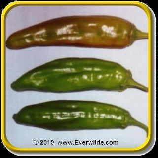 vegetable description the anaheim chile pepper is a classic open 