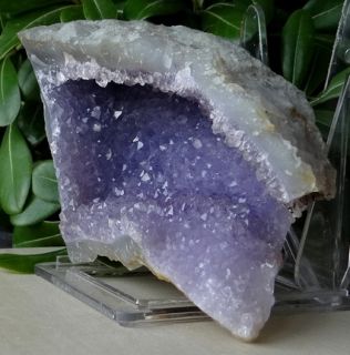 Lovely Amethyst Geode Full of Crystal Points