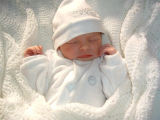 Precious BM Originals Reborn Baby Girl Doll Fake   Anna Moulton