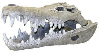 Blue Ribbon Aquarium Ornament Crocodile Skull Large
