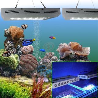 Aquarium Coral Reef Tank White Blue LED Grow Light 120W