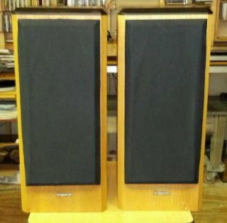 Angstrom Reference 2 Way Speakers Nice