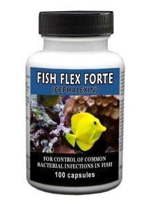   Flex Forte 500mg (Cephalexin) 100ct   Pharmacy Grade Fish Antibiotics
