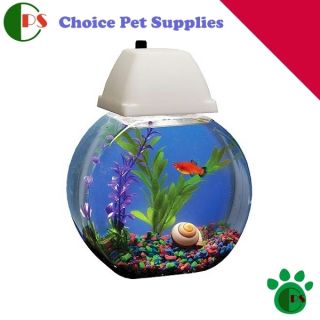 New Aqua Bowl Aquarium Fish Tank Choice Pet Supplies Great Buy Kids 