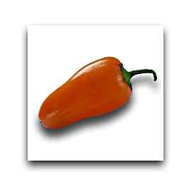   features the artwork Orange Chili Pepper by Aristophanes Staff