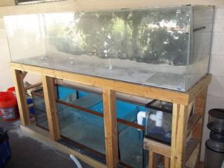 240 Gallon Acrylic Aquarium with 125 Gallon Glass Sump EXTRAS