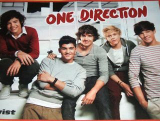   Direction (1D) Boys Looking Sexy 16 x 20 Wall Poster b/w Ariana Grande