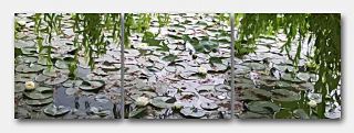   the artwork Water Lilies in Vancouver by Aristophanes Staff