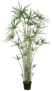 Foot Cypress Grass Artificial Umbrella Palm Silk Tree