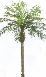 Artificial Phoenix Palm Tree Plant Silk Home Decor