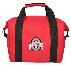 Ohio State Buckeyes Beer Soda Picnic Insulated Cooler Bag Tote