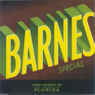RARE Barnes Special 9x9 Vintage Florida Crate Label Plant City Orange 