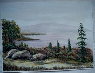 Original Watercolor Drawing The Lake by D Richardson