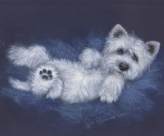 Westie Playing Limited Edition Signed Print by Sue Barratt