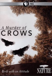 Nature A Murder of Crows DVD, 2011