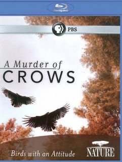 Nature A Murder of Crows Blu ray Disc, 2011