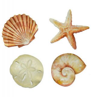 50 Sea Shells Sand Dollars Starfish Tropical Ocean Stickers Decals 