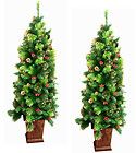Two (2) 6 ft pre lit 150 light 356 tip potted Berry Pine Cone 