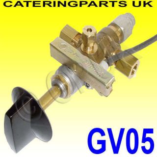 gv05 8mm nat lp gas valve c w pilot outlet and ignition  46 