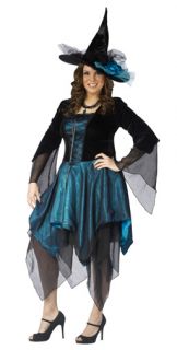 Witch Magical Lady Adult Costume Plus Size Includes Hat Fnt