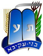 Bnei Akiva Religious Zionist Youth Movement Israel Worldwide Patch No 