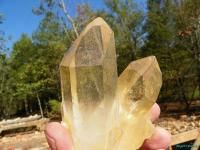   Clear Arkansas Quartz Crystal Cluster Record Keepers