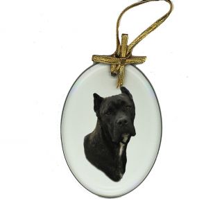 cane corso beveled glass suncatcher ornament dog 
