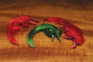 golden pheasant crests dyed fly tying more options color time