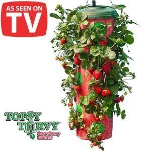 As Seen on TV Topsy Turvy Strawberry Planter Grow