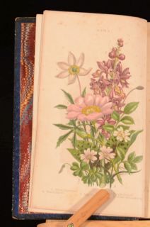 1863 Haunts of The Wild Flowers Anne Pratt Colour Plates