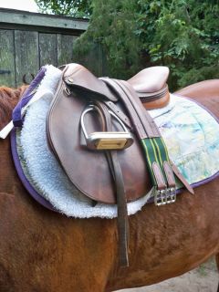 Collegiate Close Contact Saddle with Saddle Pads and Girth