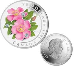 2011 Canada $20 Wild Rose Coloured Silver Coin Tax Exempt