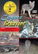 coyote behavior predator hunting dvd free call format dvd region free 