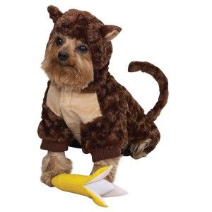 New Monkey w Free Toy Halloween Dog Costume Clothes