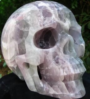 Titan 12 9 Fluorite Carved Crystal Skull Mineral Crystal Healing 
