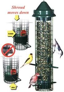   seed with the brome squirrel buster classic bird feeder voted best new
