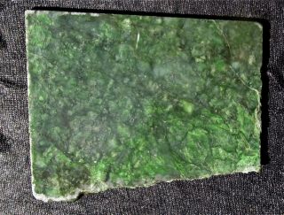 Big Sur Jade Large Slab from  california RARE 4 2 oz or 120 Gram 