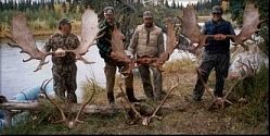 Alaska Moose Brown Bear Caribou Hunting Videos DVDS