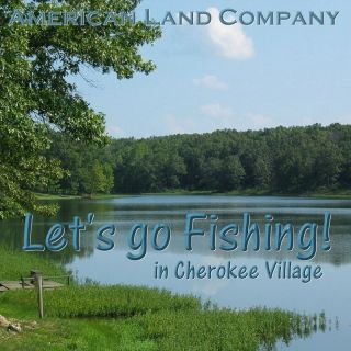 Big Lake Area Land Lot for House Home Cabin Investment Fishing Lakes 