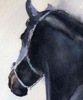 Print Equine Painting Friesian Morgan Black Horse Art