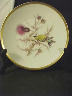 mitterteich 8 bird plate gold trim germany 059 this is a lovely plate 
