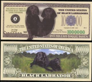 Lot of 100 Bills Black Labrador Dog Million Dollar