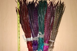 100 % natural pheasant bird feather hair extensions make new styles 