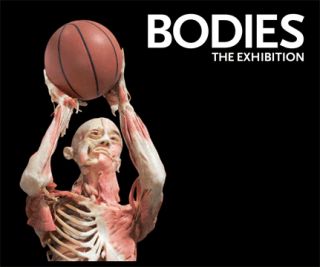 20 Off Bodies The Exhibition Tickets Las Vegas Coupon