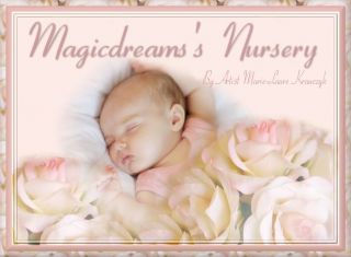 Magicdreams Nursery A New Elisa Marx Seraphina Sculpt Reborn Baby Girl 