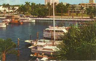 Bradenton FL Florida Marina Late 1960s Postcard