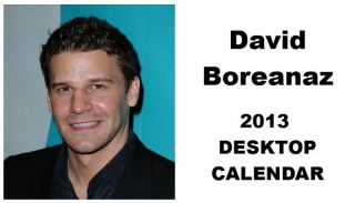 David Boreanaz 2013 Desktop Calendar Now Only £5 99